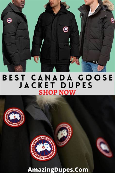 best canada goose dupes